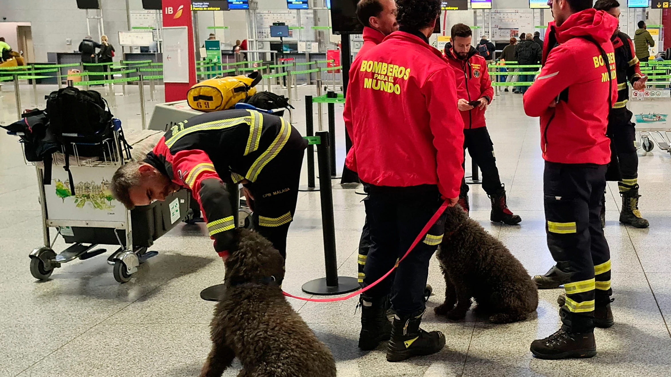 Un equipo de siete bomberos en el aeropuerto de Málaga esperando para partir rumbo a Turquía Un equipo de siete bomberos en el aeropuerto de Málaga esperando para partir rumbo a Turquía