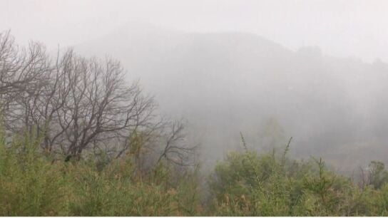 Captadores de agua de niebla en Gran Canaria