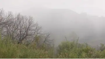 Captadores de agua de niebla en Gran Canaria