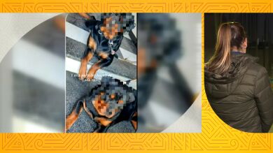Gloria, muy afectada por el nuevo ataque del perro que la agredió: 