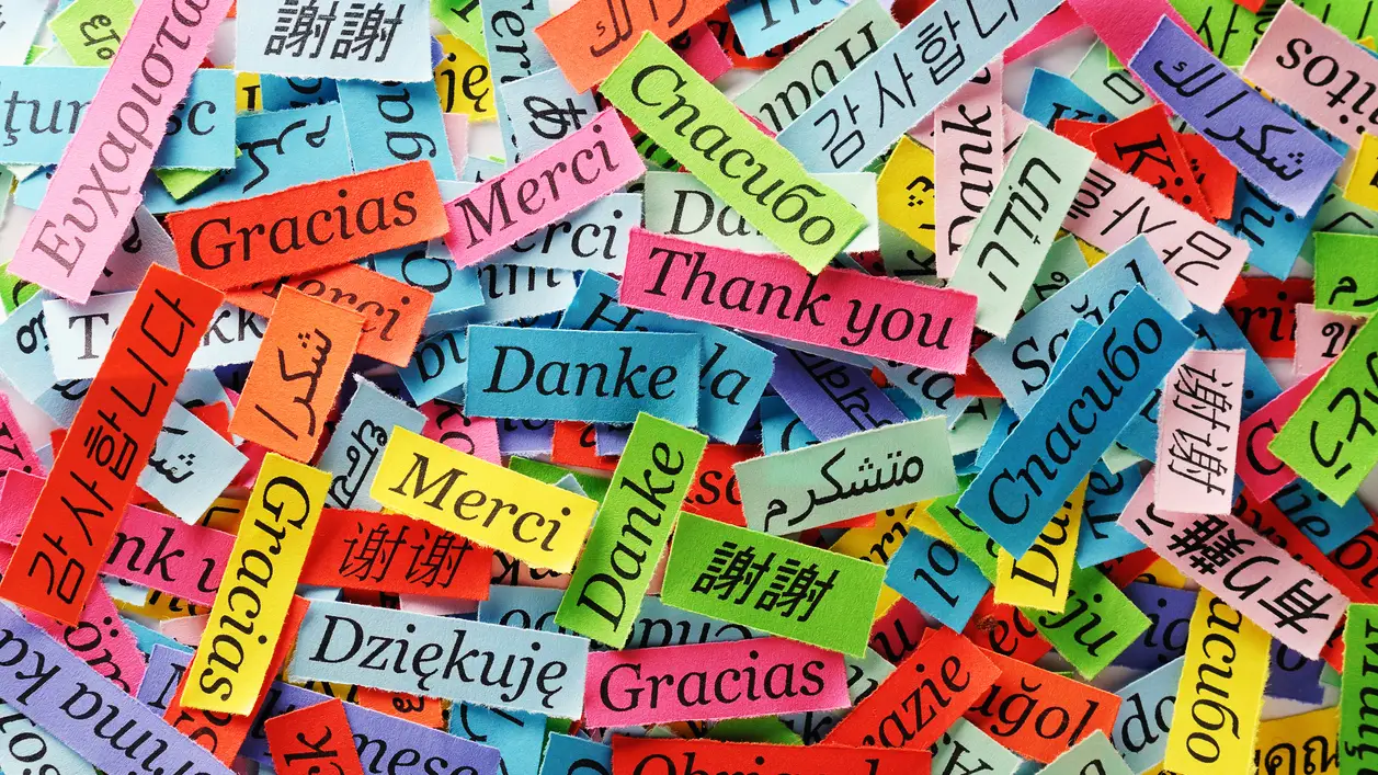 Las formas de decir 'Gracias' en varios idiomas Las formas de decir 'Gracias' en varios idiomas