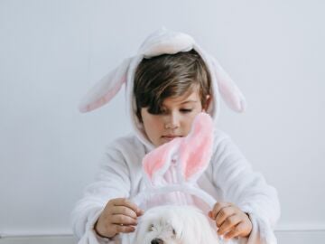 Un niño disfrazado de conejo