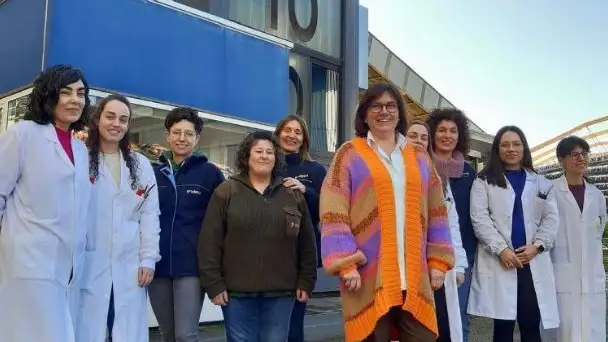 Las mujeres lideran el 'CSI' del laboratorio central de Endesa