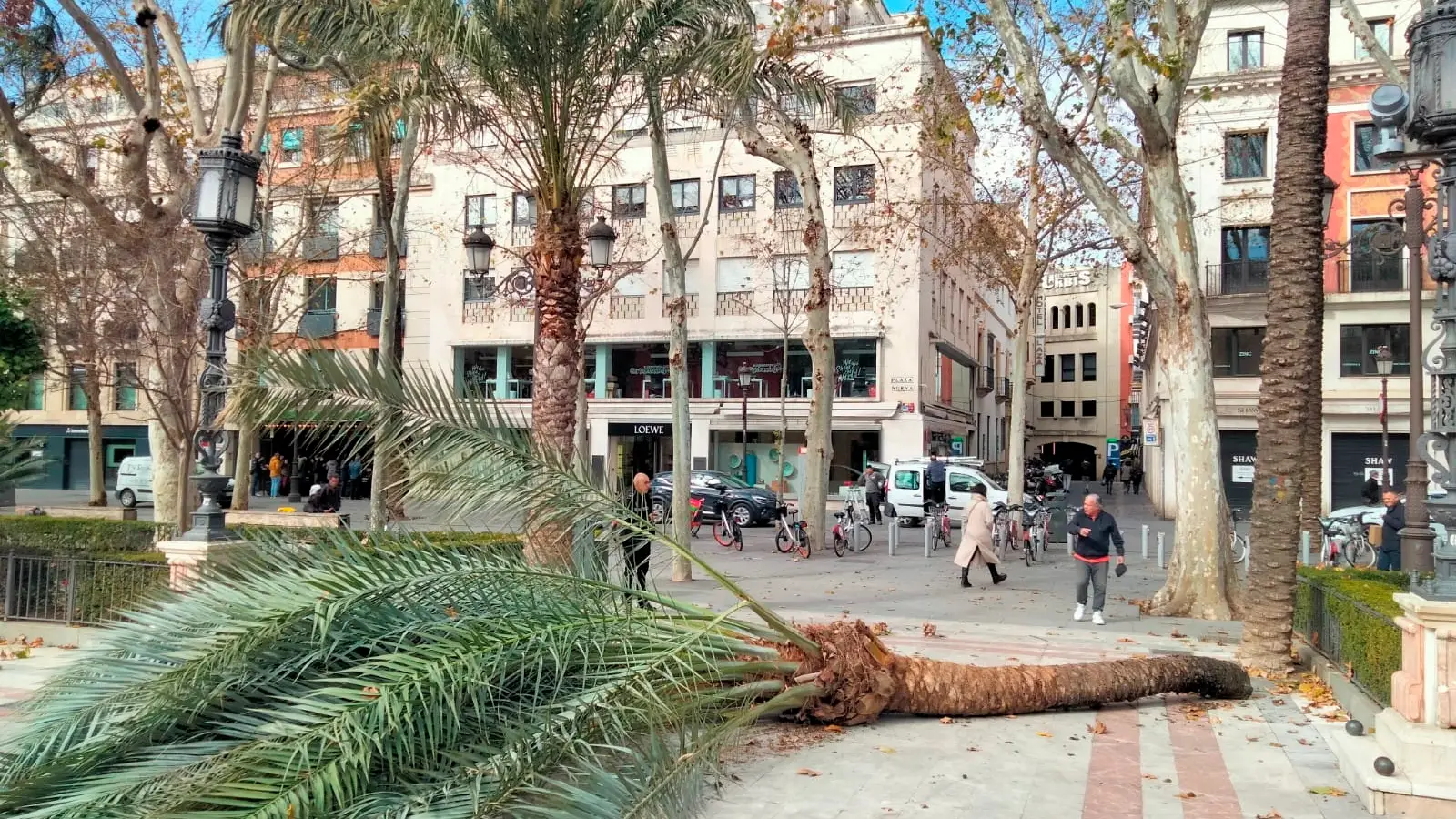 Andaluc&iacute;a registra m&aacute;s de 200 incidencias ocasionadas por el viento: tres personas han resultado heridas