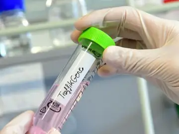 Europa otorga 2,5 millones a un proyecto gallego contra el cáncer Europa otorga 2,5 millones a un proyecto gallego contra el cáncer