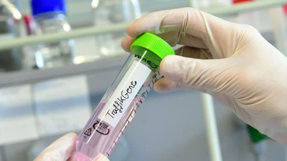 Europa otorga 2,5 millones a un proyecto gallego contra el c&aacute;ncer