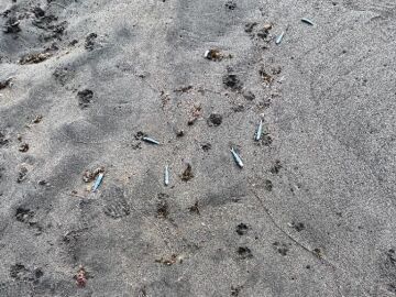 Encuentran peces muertos en una playa de Tenerife 