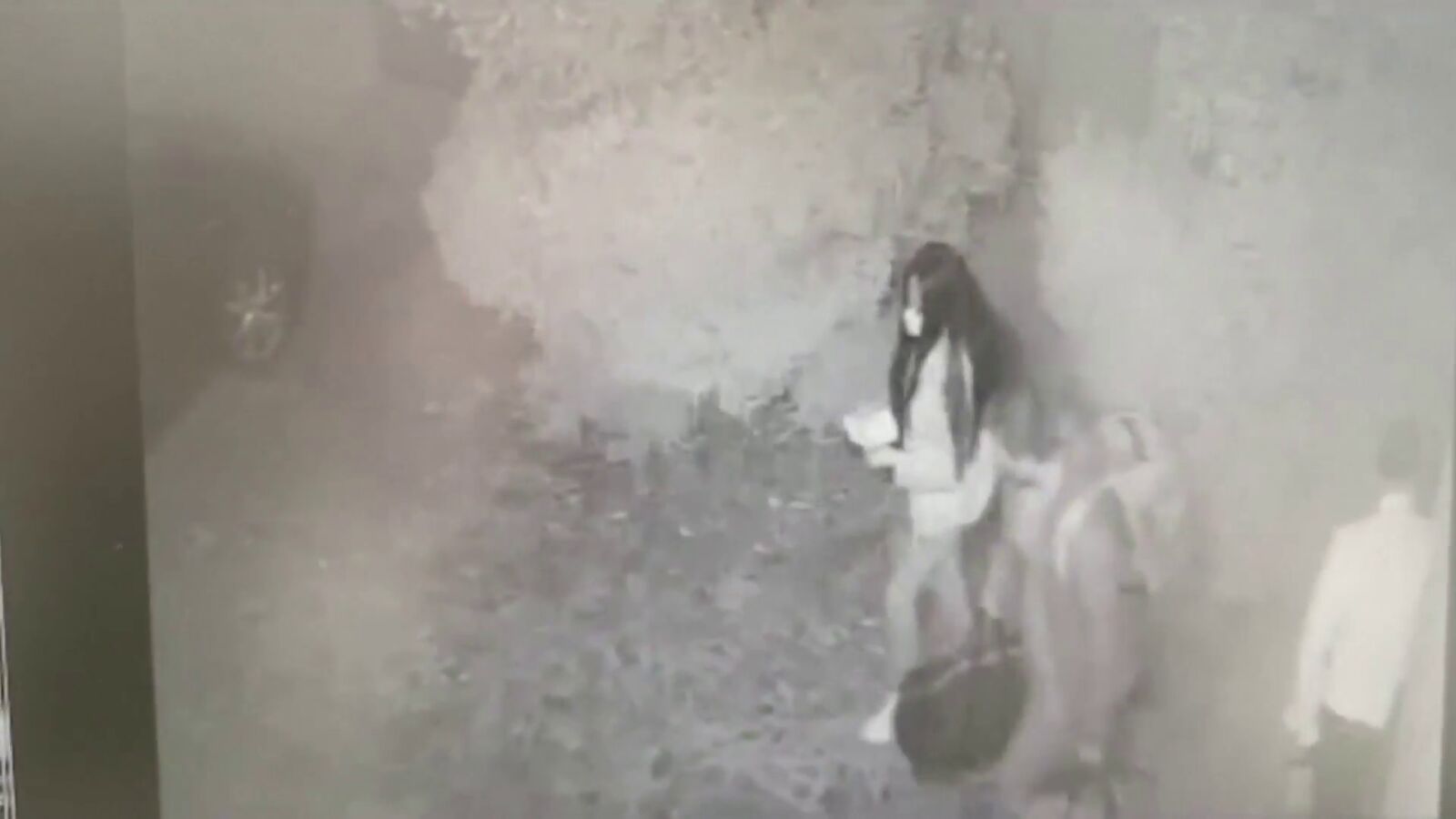 Arranca el juicio del 'caso Atrio': así fue el 'robo de película' de 45 botellas de vino valoradas en más de 1.600.000 euros
