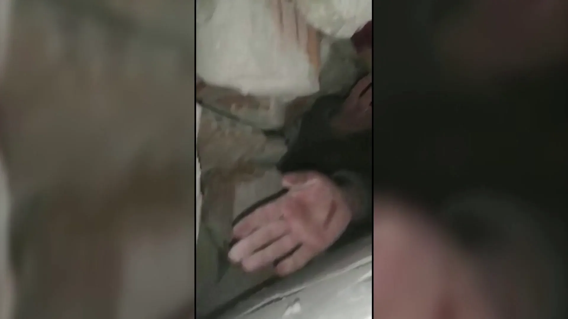 La mano del hombre