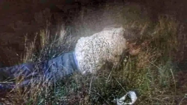 La huida de un preso disfrazado de oveja La huida de un preso disfrazado de oveja