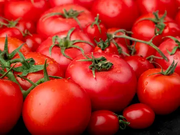 Tomates Tomates