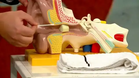 Así debes limpiarte los oídos de forma segura Así debes limpiarte los oídos de forma segura