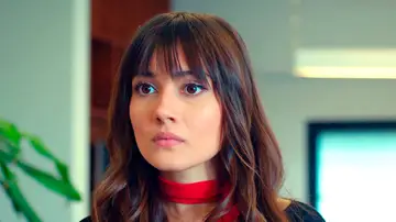 Alihan despide a todos los trabajadores de su nueva empresa… ¡Menos a Zeynep! 