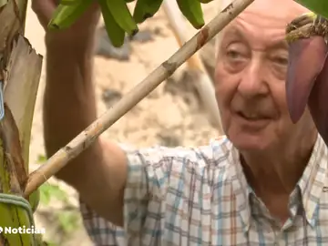 Muchos agricultores mayores no encuentran relevo generacional Muchos agricultores mayores no encuentran relevo generacional