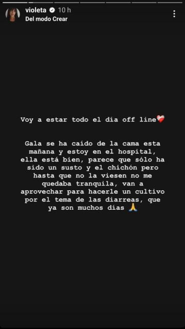 Explicación Violeta 