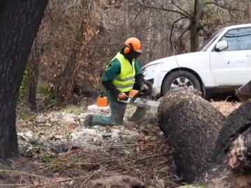 Así se recupera el entorno seis meses después del incendio de Bejís, en Castellón