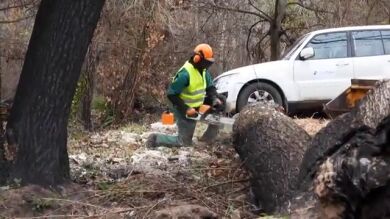 Seis meses después del incendio de Bejís, en Castellón ¿cómo se recupera el entorno?