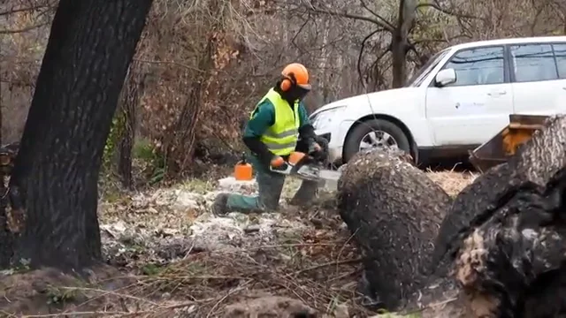 Así se recupera el entorno seis meses después del incendio de Bejís, en Castellón Así se recupera el entorno seis meses después del incendio de Bejís, en Castellón