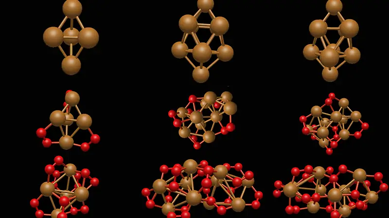El CSIC y la Universidad de Cádiz lideran una red europea de investigación sobre nuevos nanomateriales El CSIC y la Universidad de Cádiz lideran una red europea de investigación sobre nuevos nanomateriales