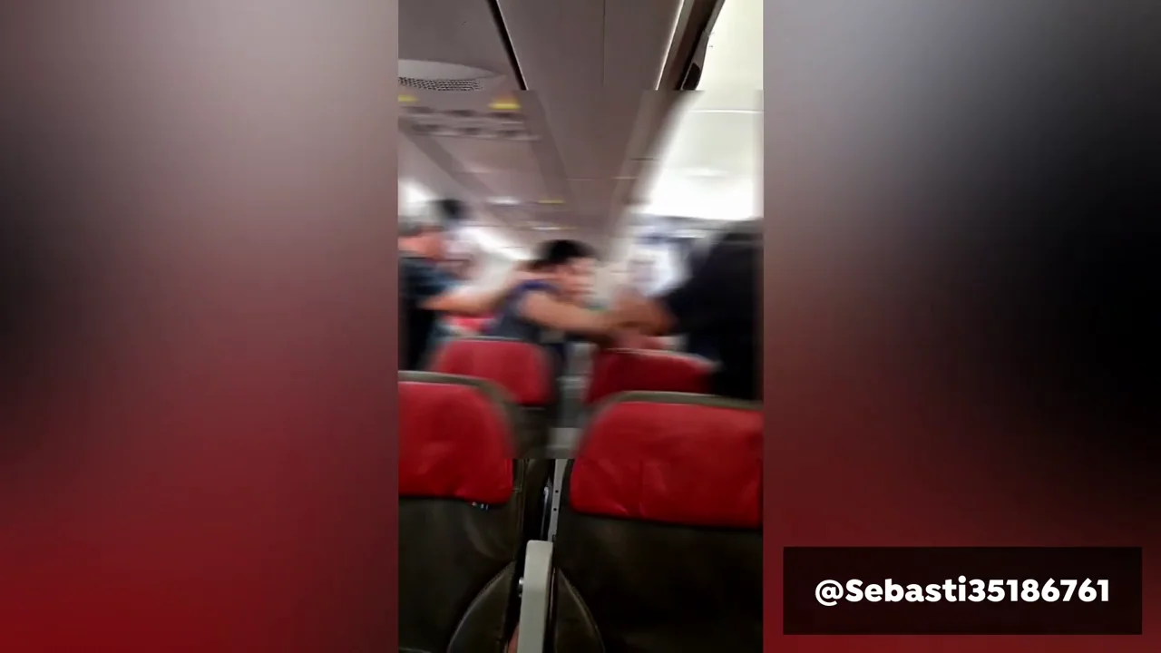 El v&iacute;deo de la pelea en pleno avi&oacute;n en Chile