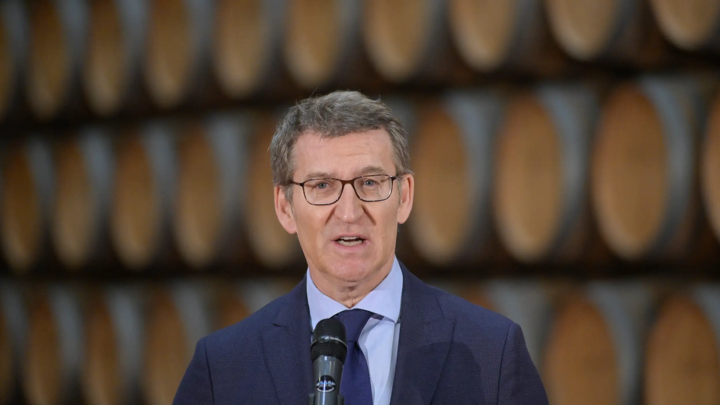 El l&iacute;der del PP, Alberto N&uacute;&ntilde;ez Feij&oacute;o