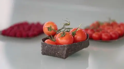 EnvasesDePlástico EnvasesDePlástico