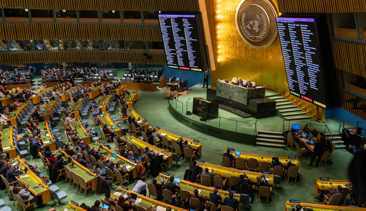 Asamblea General de la ONU