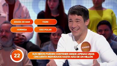 ¡Qué ‘animalada’! Cadena de fallos en el equipo de Orestes por culpa de “la araña de mar”