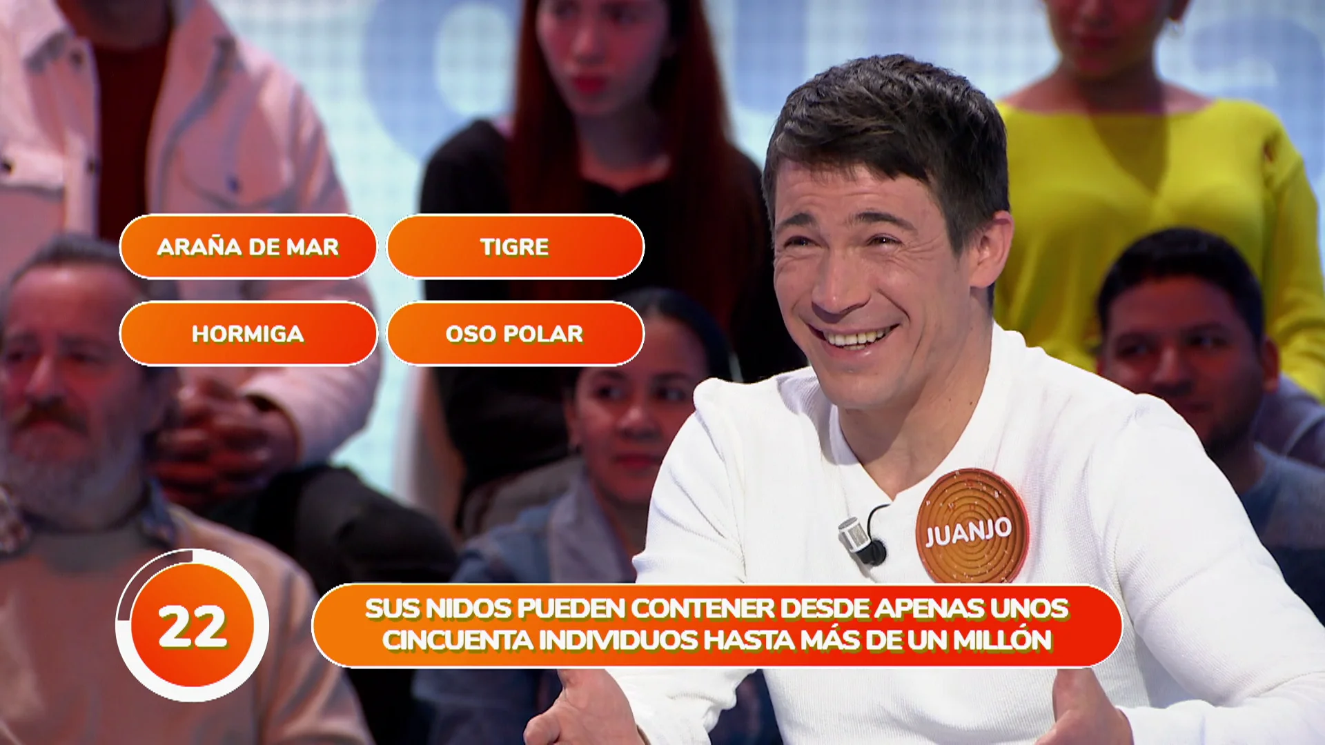 &iexcl;Qu&eacute; &lsquo;animalada&rsquo;! Cadena de fallos en el equipo de Orestes por culpa de &ldquo;la ara&ntilde;a de mar&rdquo;