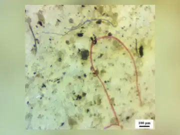 Los microplásticos encontrados Los microplásticos encontrados