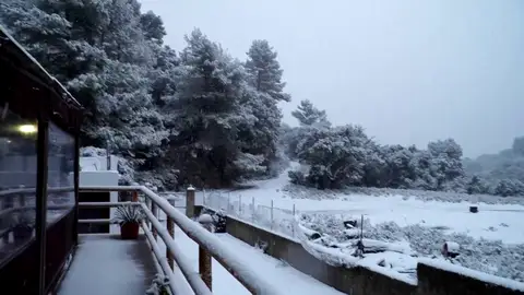 La borrasca Juliette deja una estampa inaudita: Mallorca y zonas bajas de Barcelona se tiñen de blanco La borrasca Juliette deja una estampa inaudita: Mallorca y zonas bajas de Barcelona se tiñen de blanco