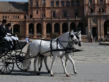 Plaza de España Sevilla