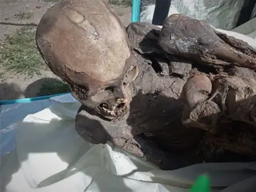 Una momia prehispánica, de entre 600 y 800 años de antigüedad, hallada dentro de la mochila de un repartidor de comida rápida en Perú. Una momia prehispánica, de entre 600 y 800 años de antigüedad, hallada dentro de la mochila de un repartidor de comida rápida en Perú.