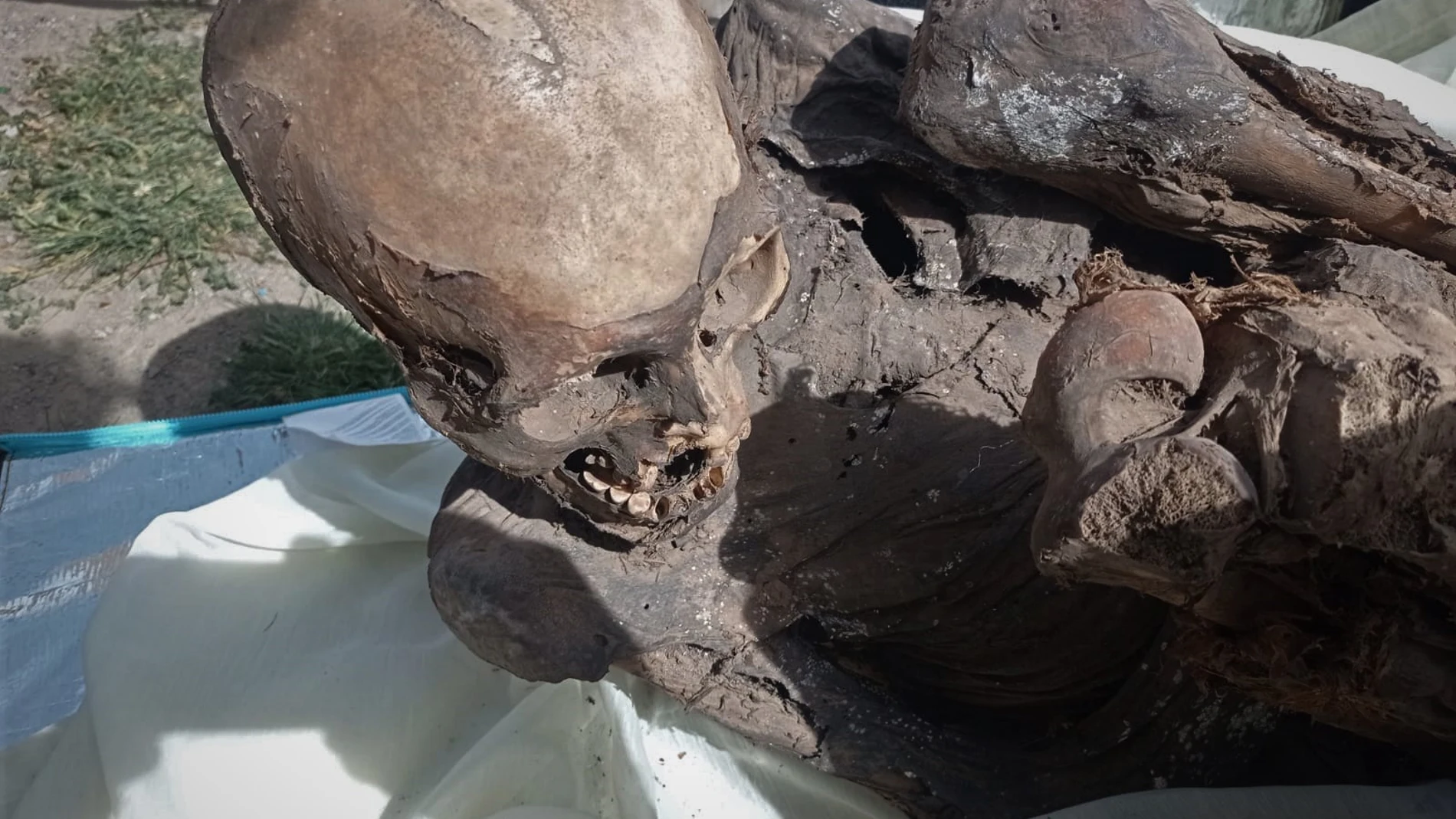 Una momia prehispánica, de entre 600 y 800 años de antigüedad, hallada dentro de la mochila de un repartidor de comida rápida en Perú.