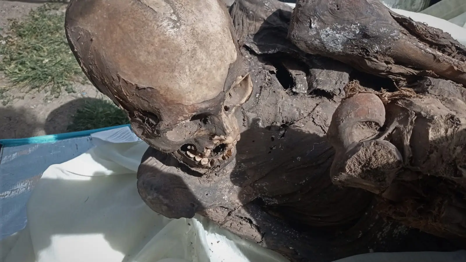 Una momia prehispánica, de entre 600 y 800 años de antigüedad, hallada dentro de la mochila de un repartidor de comida rápida en Perú. Una momia prehispánica, de entre 600 y 800 años de antigüedad, hallada dentro de la mochila de un repartidor de comida rápida en Perú.