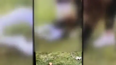 VÍDEO: Brutal paliza a una menor de 17 años en Madrid VÍDEO: Brutal paliza a una menor de 17 años con una discapacidad del 52% y que sufre epilepsia