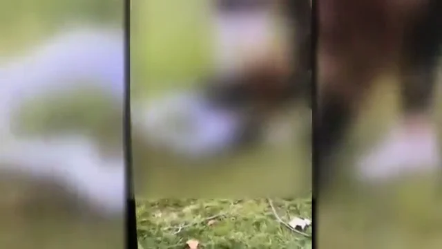 VÍDEO: Brutal paliza a una menor de 17 años en Madrid VÍDEO: Brutal paliza a una menor de 17 años con una discapacidad del 52% y que sufre epilepsia