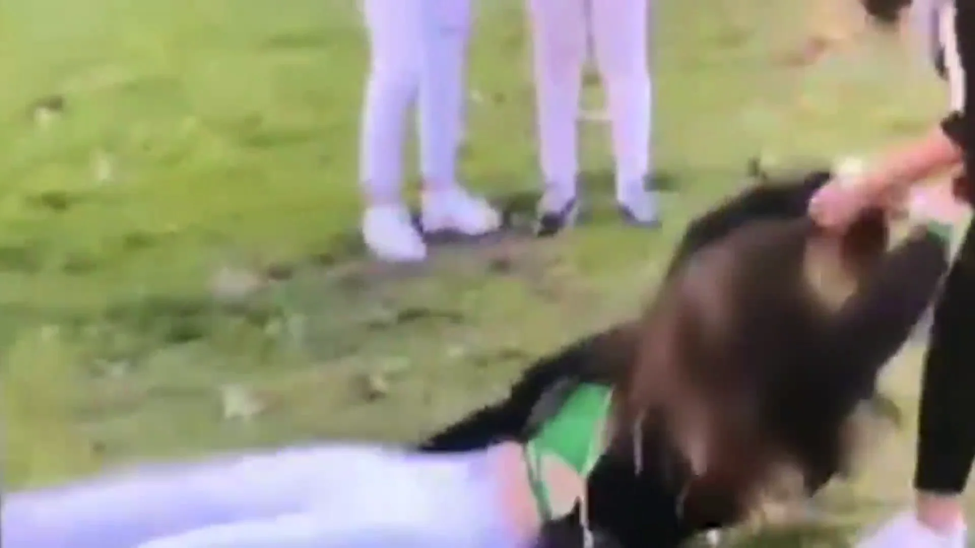 La menor agredida La menor agredida