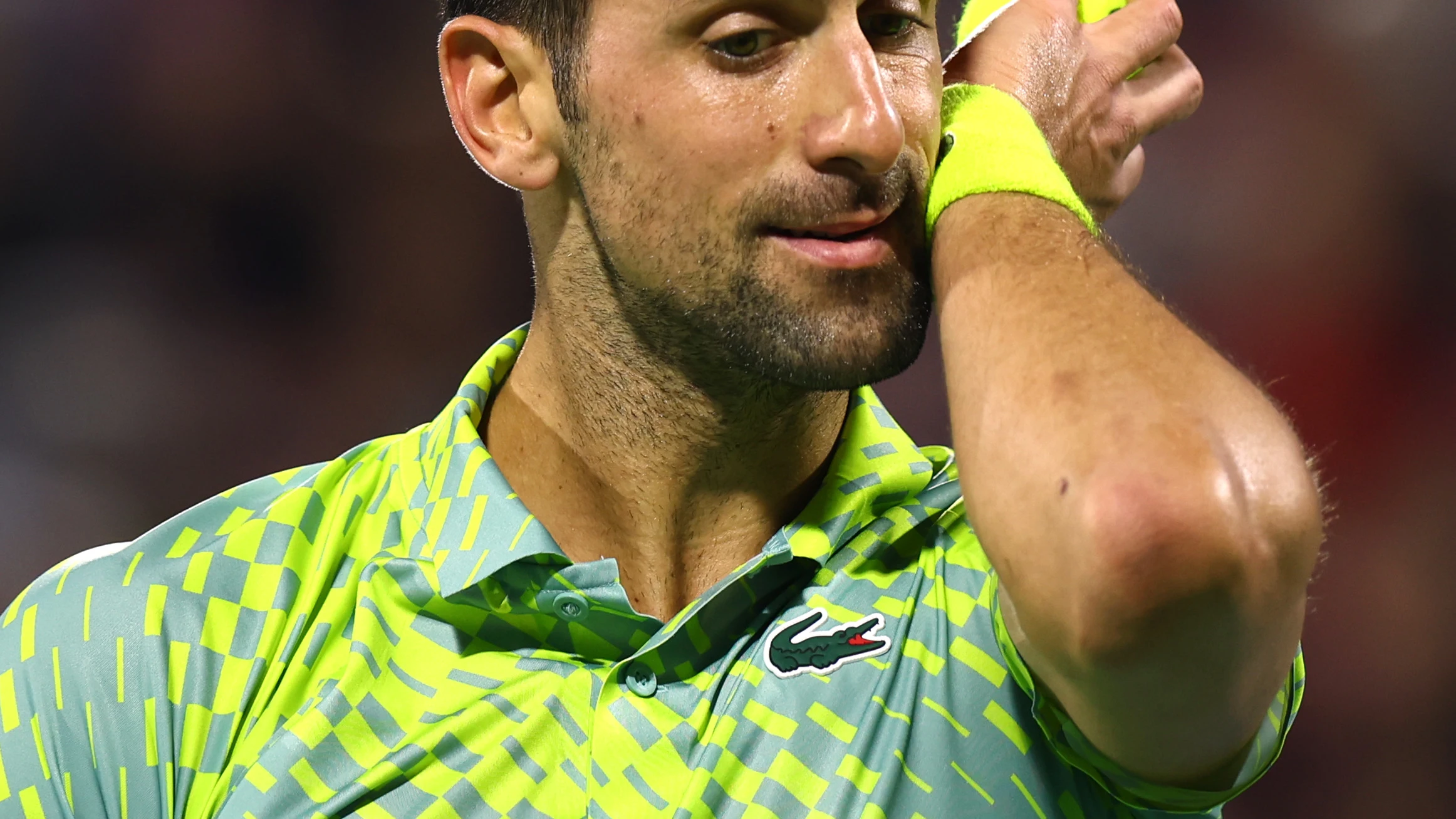 Djokovic, en el Dubai Duty Free Tennis Djokovic, en el Dubai Duty Free Tennis