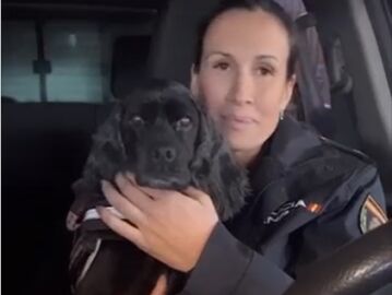 Lluna, la perra policía que ha sido despedida con un emotivo mensaje de la Policía Nacional