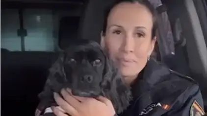 Lluna, la perra policía que ha sido despedida con un emotivo mensaje de la Policía Nacional Lluna, la perra policía que ha sido despedida con un emotivo mensaje de la Policía Nacional