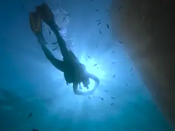 Los subacuáticos de la Real Sociedad Los subacuáticos de la Real Sociedad