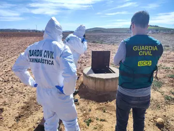 Imagen de la finca en la que se han encontrado los restos óseos en Valdepeñas. Imagen de la finca en la que se han encontrado los restos óseos en Valdepeñas.