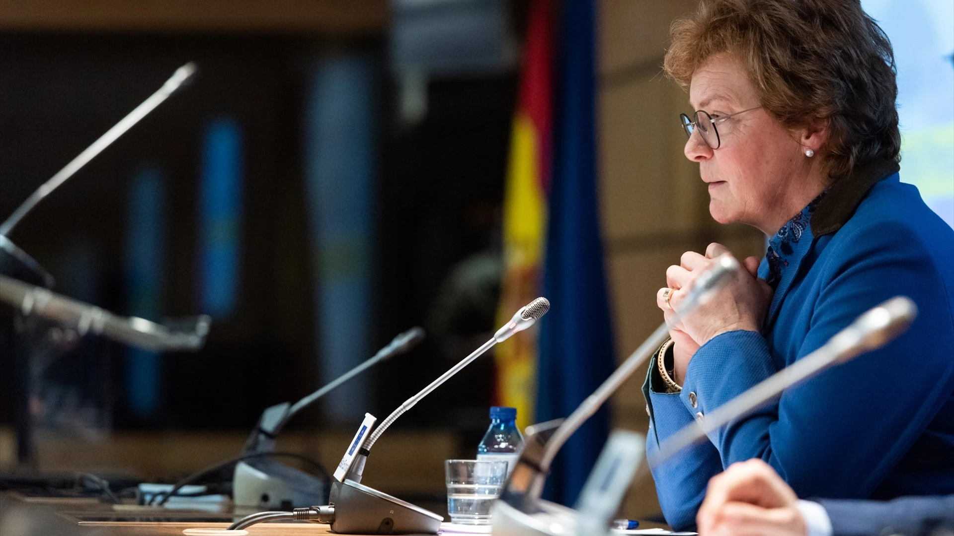 La jefa de la delegaci&oacute;n de la comisi&oacute;n de Control Presupuestario del Parlamento Europeo, Monika Hohlmeier