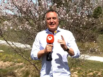 Roberto Brasero da la bienvenida a la primavera