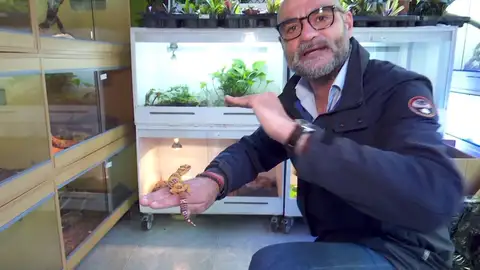 Raúl García en una tienda de animales. Raúl García en una tienda de animales.
