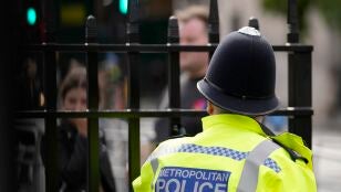 Polic&iacute;a metropolitana de Londres