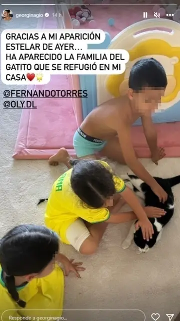 Georgina Rodríguez revela quiénes son los dueños del gatito Georgina Rodríguez revela quiénes son los dueños del gatito