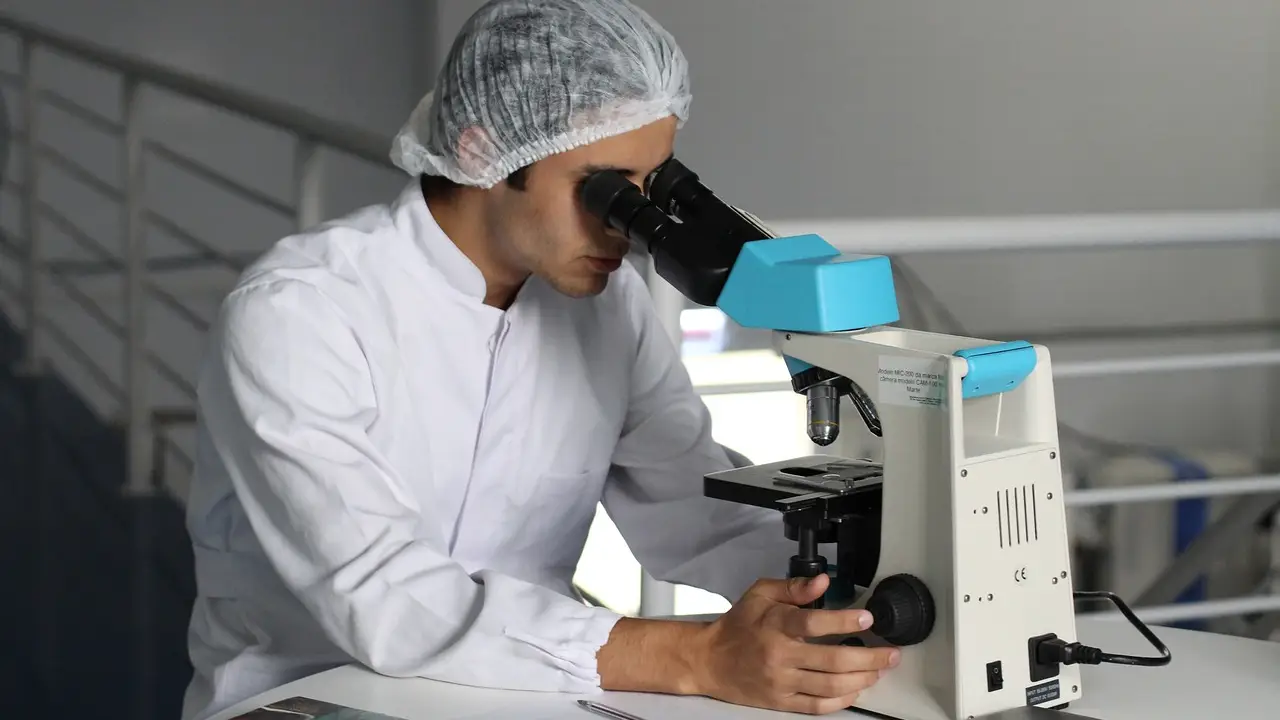 El hallazgo permite avanzar en el tratamiento de enfermedades metabólicas El hallazgo permite avanzar en el tratamiento de enfermedades metabólicas