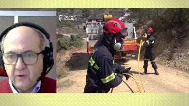 Un decano del colegio de ingenieros forestales, sobre los incendios: 